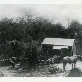 Upper Bucca miners camp, c.1884