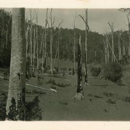 Otley valley, 1930