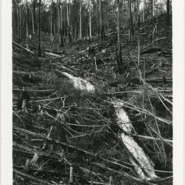 Waterfall on the Maston farm, c. 1933