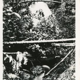 Waterfall on the Maston farm, 1930