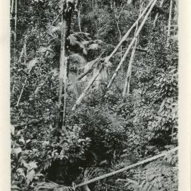 Waterfall on the Maston farm, 1930