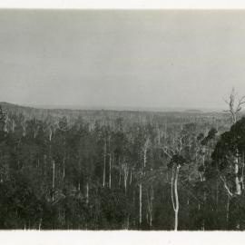 View to the east from Red Hill, 1930