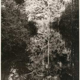 Orara River