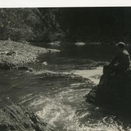Pensive river scene