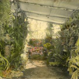 Indoor tropical garden