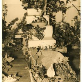 Agricultural show garden arrangement, August 1951