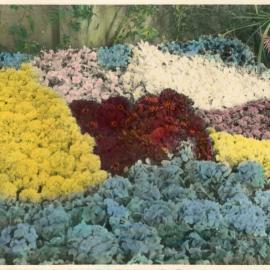 Agricultural show floral display, 1951