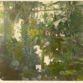 Agricultural show floral display, 1951