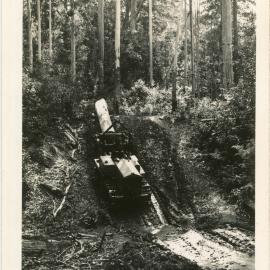 Log-hauler in the bush, 1930