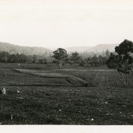 Cropping and dairying in the Orara River valley, 1930