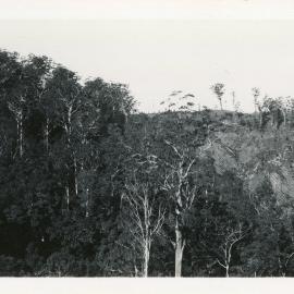 A banana plot at Otley, c.1930