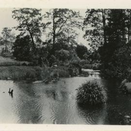 The Junction, 26 November 1929