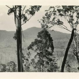 View from Mt Browne looking north, c. 1930