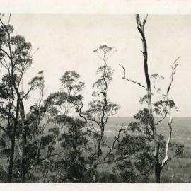 View towards Coffs