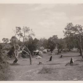 Red Rock Caravan Park 1966