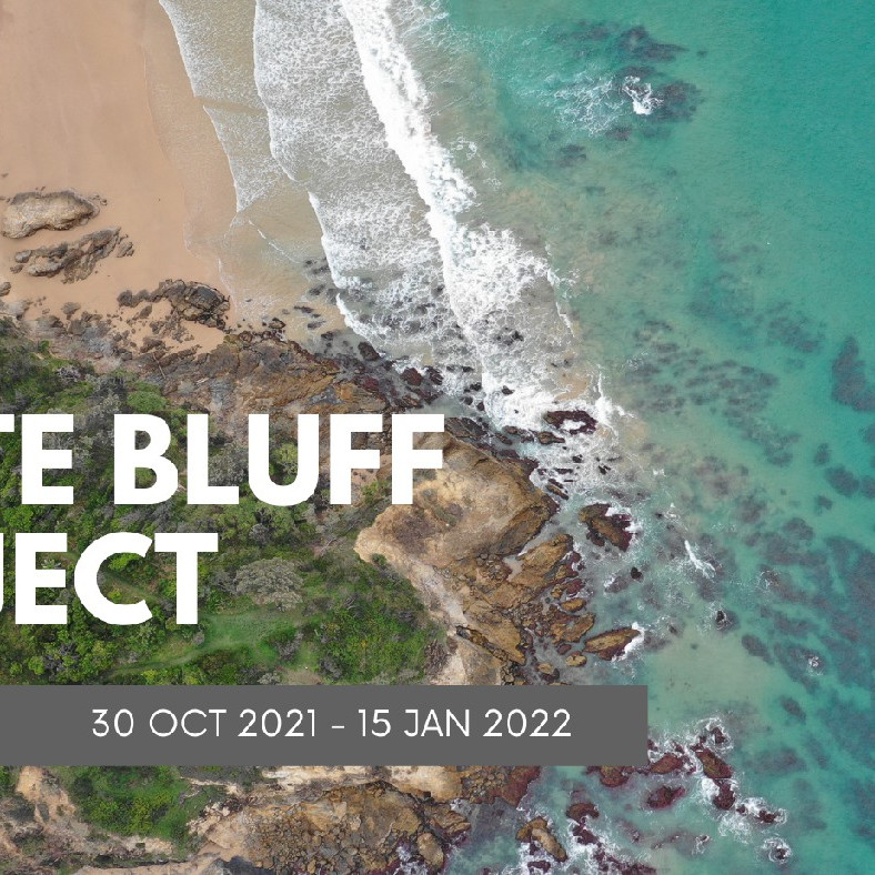 The White Bluff Project