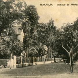 Avenue de Mohamed Aly, c.1905