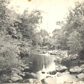 Creek scene