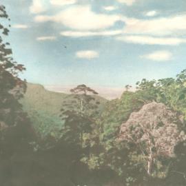 View to the ocean