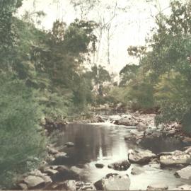 Creek scene
