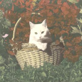 White cat in faux floral arrangement