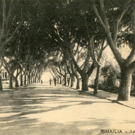 Avenue Ghichar, c.1905