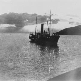 The Cavanba off Muttonbird Island 