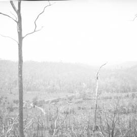 View from Nelsons Hill to Coramba Road, 26 December 1923