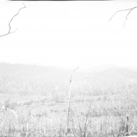 View from Nelsons Hill to Coramba Road, 26 December 1923
