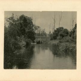 Orara River view, early 1920s