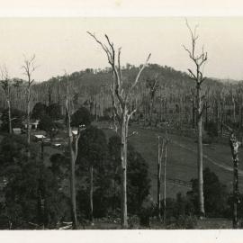 Otley farmhouse, 1933