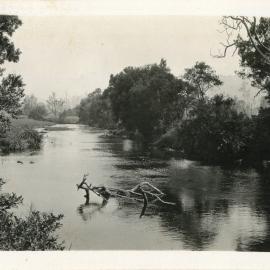 Orara River view, 26 December 1929
