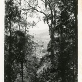 A track to the coast, c.1930