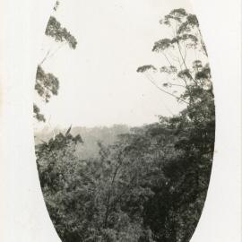 Bush scene, 1929 - 1930