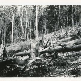 Arthur Andersen clearing land, c.1930