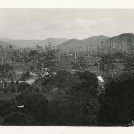 Orara valley, 1930