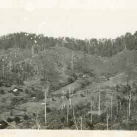Hillside preparation for banana growing