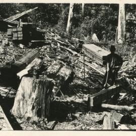 A sawyer pauses amongst the piles of timber