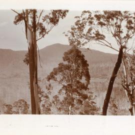 Looking north from Mt Browne, 1930