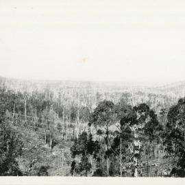 View from Red Hill