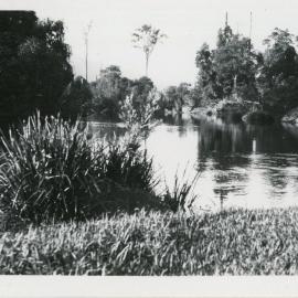 Orara riverbank, 1930