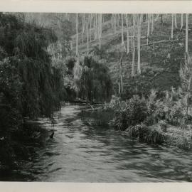 Orara riverbend, 1930