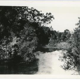 Karangi Creek at "Otley", c. 1930