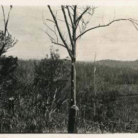 On hills east of Karangi, 1930
