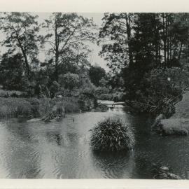 The Orara River at Karangi, 1930