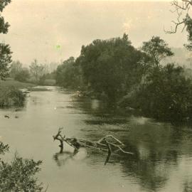View of the Orara River, 1930