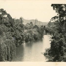 View of the Orara River from a curve in the North Coast Railway, 1932