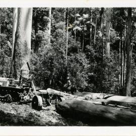 Logging with tractor, 1936