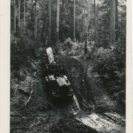 Logging with tractor, 1936