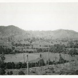 Orara River flats